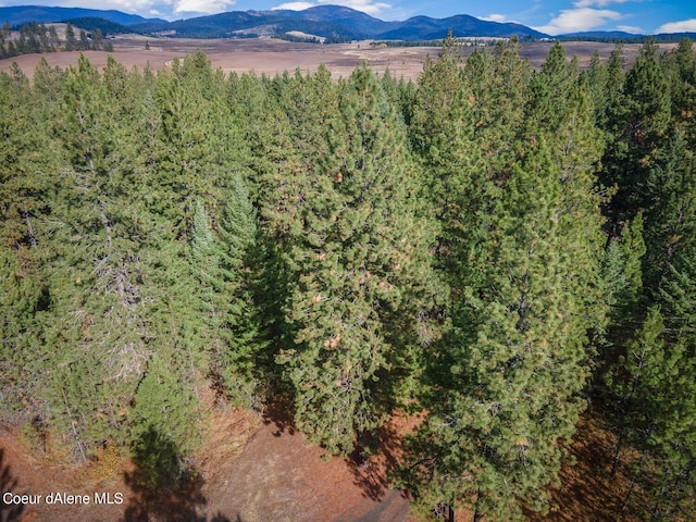 NKA10AC Becky Ln, Worley, ID 83876 - photo 44