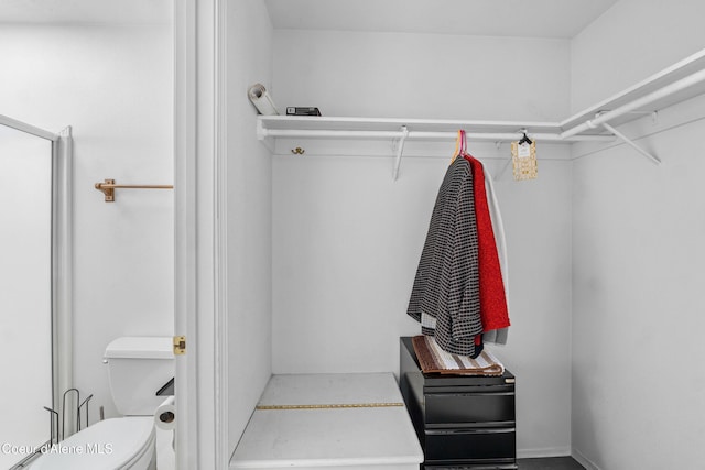 29 Silver Mountain Ln, Oldtown, ID 83822 - view of walk in closet
