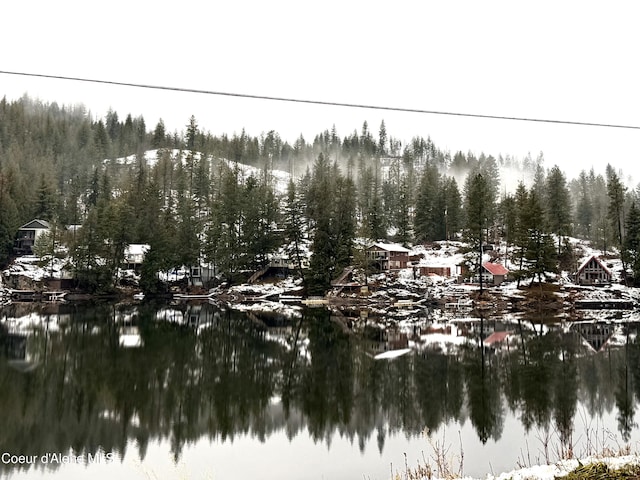 24010 N Bridge Lake Rd, Rathdrum, ID 83858 - water view with a heavily wooded area
