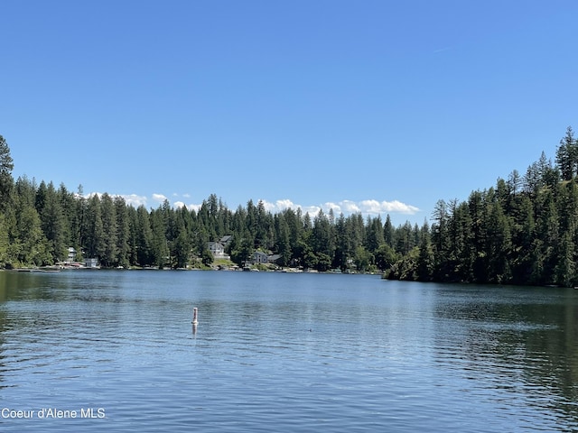 24010 N Bridge Lake Rd, Rathdrum, ID 83858 - water view with a forest