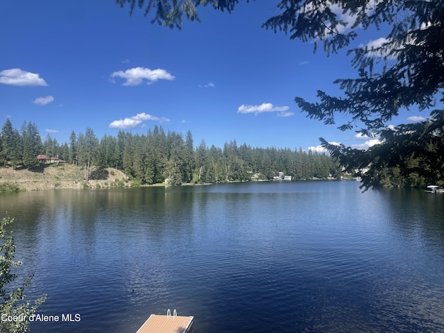 24010 N Bridge Lake Rd, Rathdrum, ID 83858 - water view with a forest