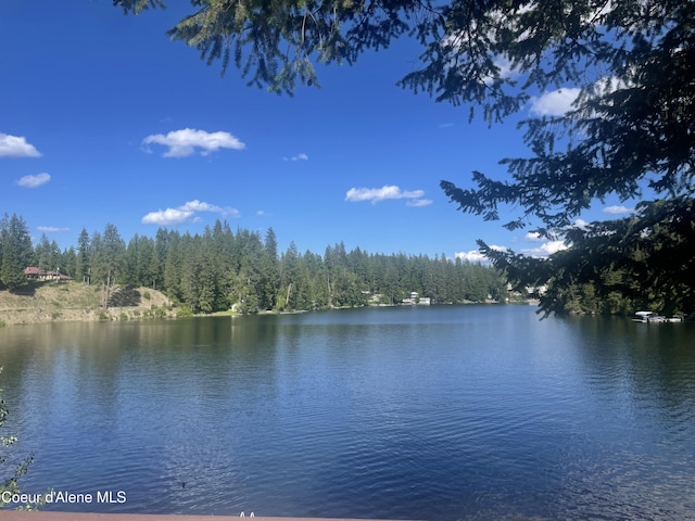 24010 N Bridge Lake Rd, Rathdrum, ID 83858 - water view featuring a heavily wooded area