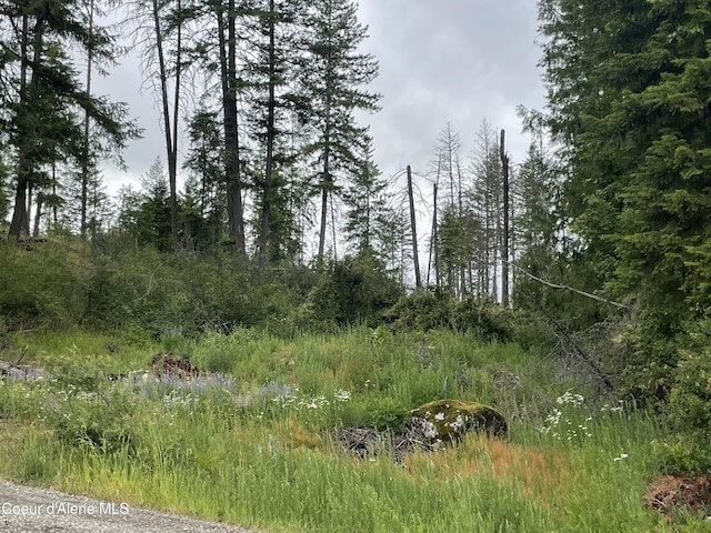 24010 N Bridge Lake Rd, Rathdrum, ID 83858 - view of nature