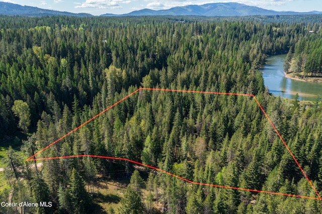 NKAParcel 4 Robinson Drive, Priest River, ID 83856
