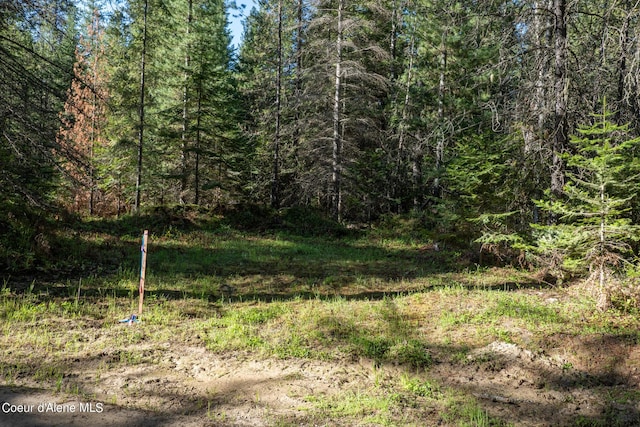 NKAParcel 4 Robinson Drive, Priest River, ID 83856