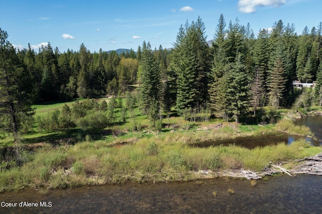 NKAParcel 4 Robinson Drive, Priest River, ID 83856