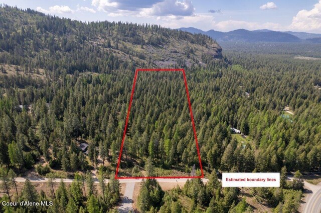 NKA Pauls Lane, Athol, ID 83801 - photo 1