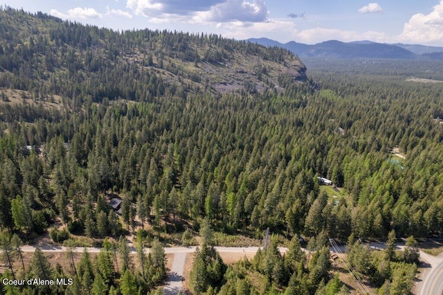 NKA Pauls Lane, Athol, ID 83801 - photo 2