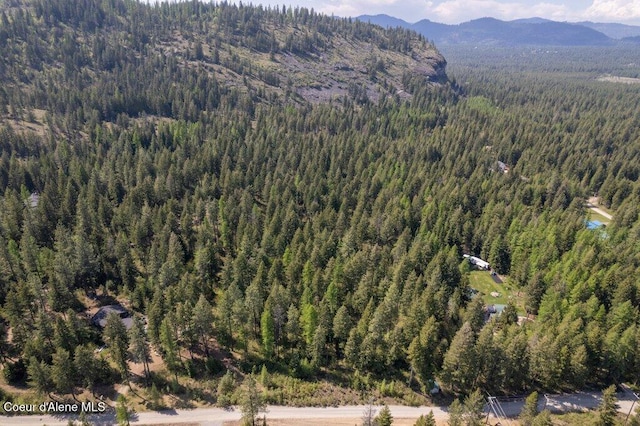 NKA Pauls Lane, Athol, ID 83801 - photo 3