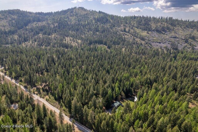 NKA Pauls Lane, Athol, ID 83801 - photo 4