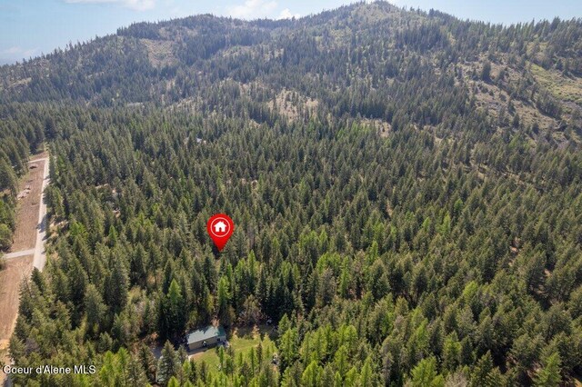 NKA Pauls Lane, Athol, ID 83801 - photo 6
