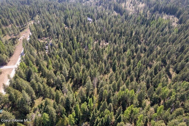 NKA Pauls Lane, Athol, ID 83801 - photo 7