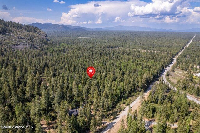 NKA Pauls Lane, Athol, ID 83801 - photo 9