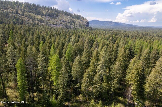NKA Pauls Lane, Athol, ID 83801 - photo 11