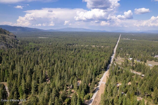 NKA Pauls Lane, Athol, ID 83801 - photo 13