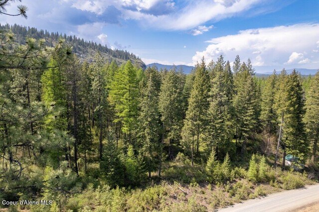 NKA Pauls Lane, Athol, ID 83801 - photo 15