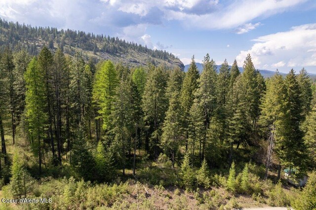 NKA Pauls Lane, Athol, ID 83801 - photo 16