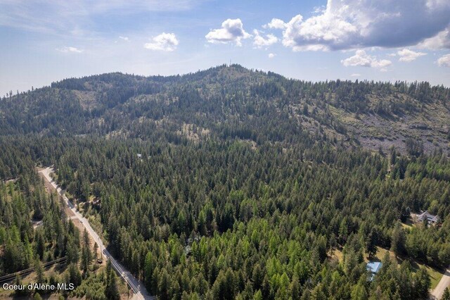 NKA Pauls Lane, Athol, ID 83801 - photo 19