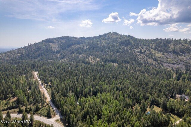 NKA Pauls Lane, Athol, ID 83801 - photo 20