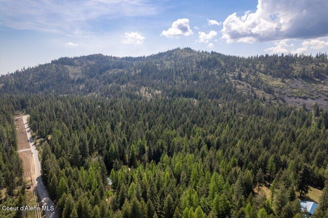 NKA Pauls Lane, Athol, ID 83801 - photo 21