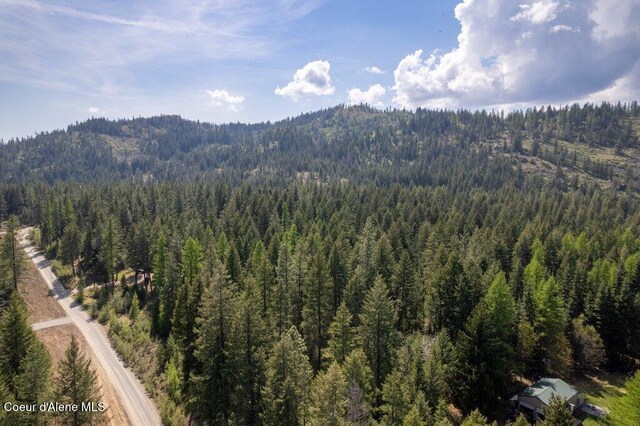 NKA Pauls Lane, Athol, ID 83801 - photo 22