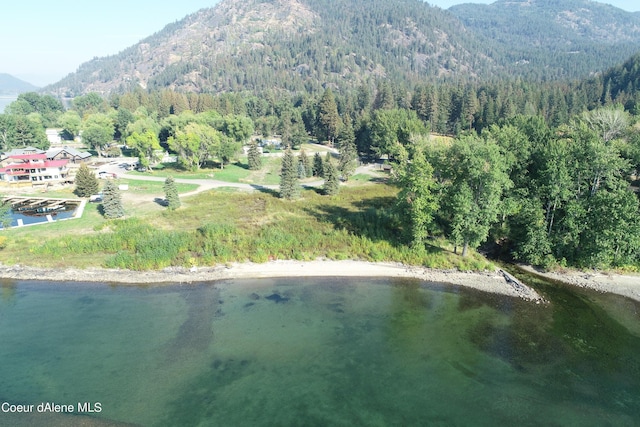 NNALOT6 Idaho Country Rd, Hope, ID 83836 - photo 1