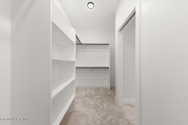 spacious closet with carpet