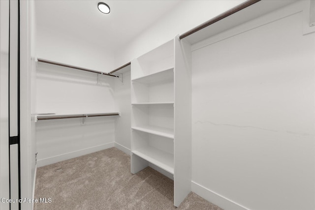 spacious closet with carpet flooring