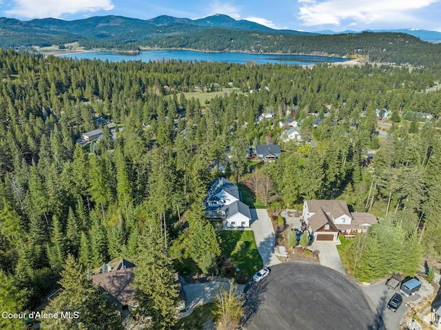 9798 N Willowherb Ct, Hauser, ID 83854 - aerial view of property's location featuring a forest and a water and mountain view