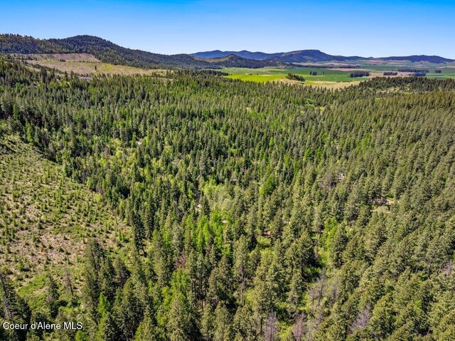 770 Crestview Ln, Plummer, ID 83851