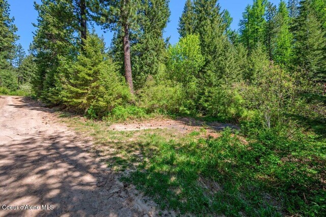 770 Crestview Ln, Plummer, ID 83851