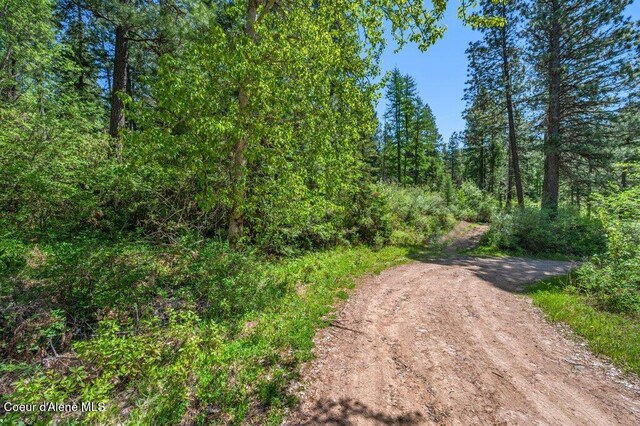 770 Crestview Ln, Plummer, ID 83851