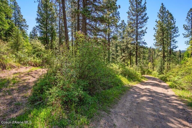 770 Crestview Ln, Plummer, ID 83851