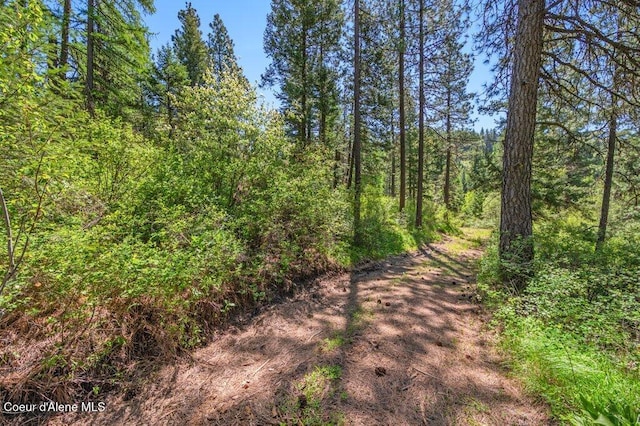 770 Crestview Ln, Plummer, ID 83851
