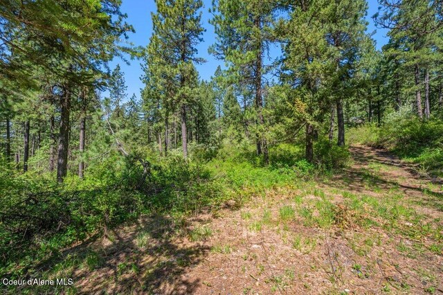 770 Crestview Ln, Plummer, ID 83851