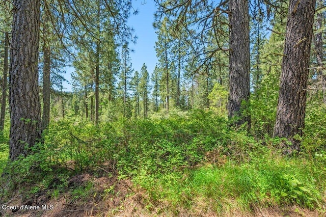 770 Crestview Ln, Plummer, ID 83851