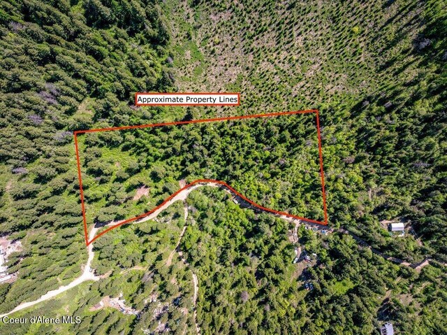 770 Crestview Ln, Plummer, ID 83851