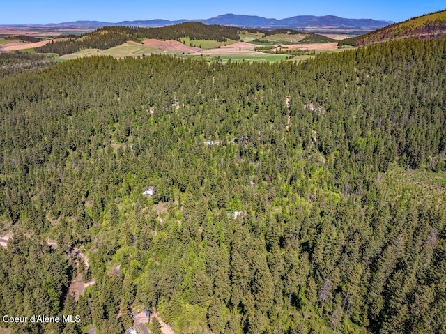 770 Crestview Ln, Plummer, ID 83851