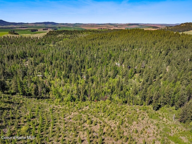 770 Crestview Ln, Plummer, ID 83851