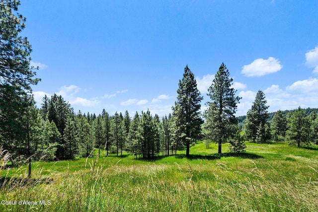 1050 Greenview Ln, Moscow, ID 83843 - view of wooded area