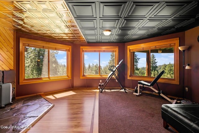 1050 Greenview Ln, Moscow, ID 83843 - workout area featuring radiator heating unit, plenty of natural light, an ornate ceiling, wood finished floors, and wooden walls
