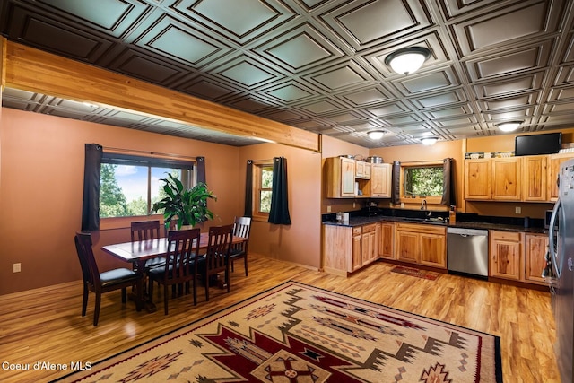 1050 Greenview Ln, Moscow, ID 83843 - kitchen with stainless steel appliances, plenty of natural light, dark countertops, light wood-style flooring, and an ornate ceiling