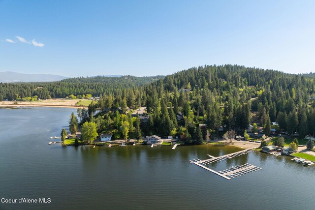 11624 N W Newman Lake Dr, Newman Lake, WA 99025 - bird's eye view of a forest and a water and mountain view