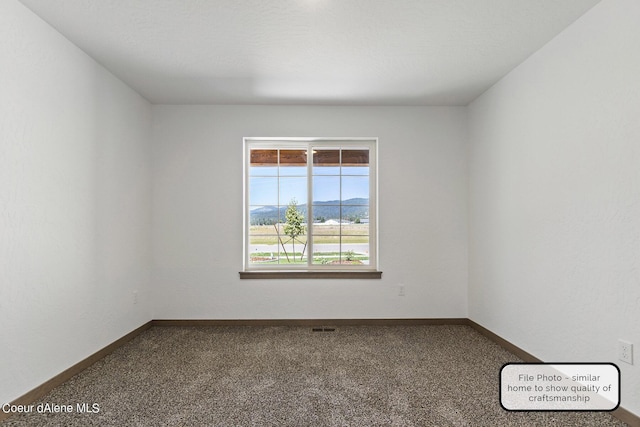 LT6BLK1 E Valley St, Oldtown, ID 83822 - carpeted empty room with baseboards