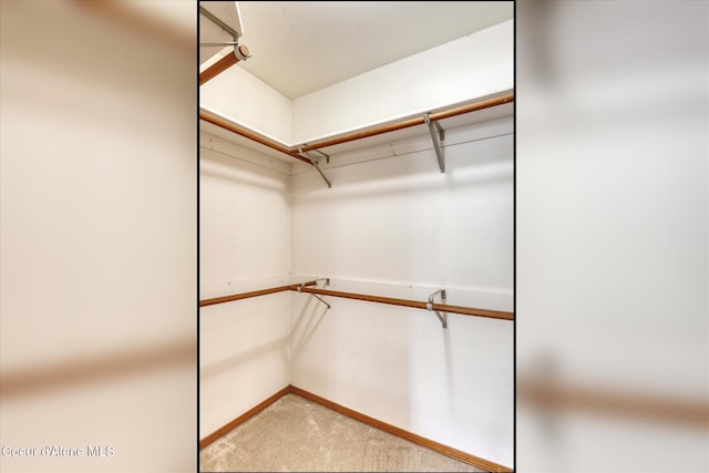 3168 N 9th St, Coeur Dalene, ID 83815 - walk in closet with light colored carpet