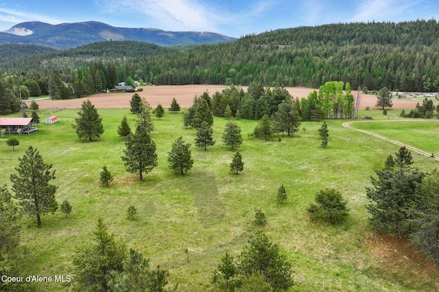 778 Mountain Meadows Rd, Naples, ID 83847