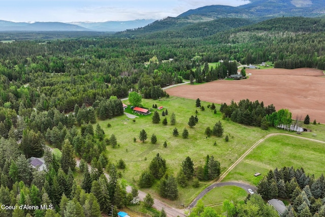 778 Mountain Meadows Rd, Naples, ID 83847