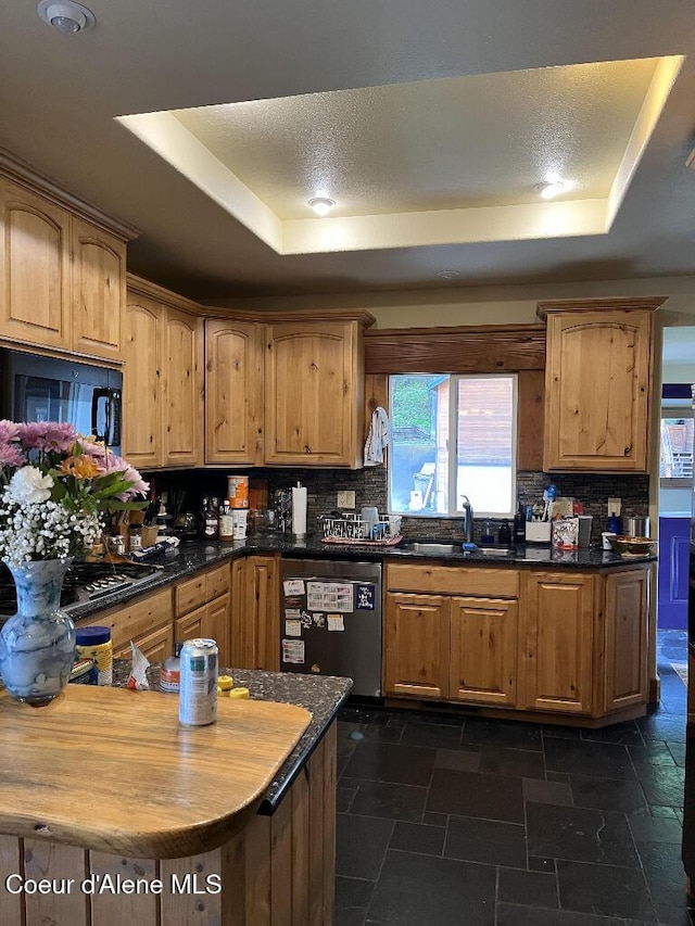 kitchen featuring a raised ceiling, a sink, appliances with stainless steel finishes, and backsplash