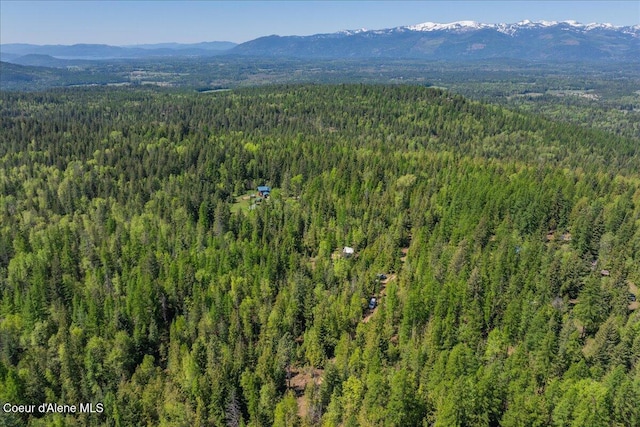 1438 Rolling Thunder Ridge Rd, Sandpoint, ID 83864 - aerial view of property's location featuring a forest and mountains