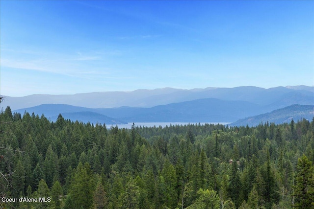 403 Kula Dr, Sagle, ID 83860 - photo 5